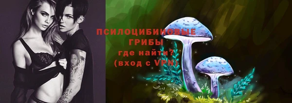 мет Абаза