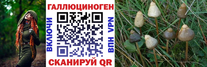 blacksprut онион  Карталы  Псилоцибиновые грибы ЛСД 